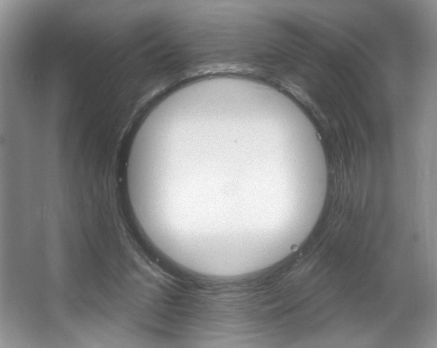 X0000067510207200604071057