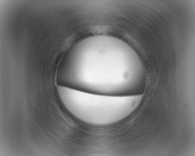 X0000067510209200604071057