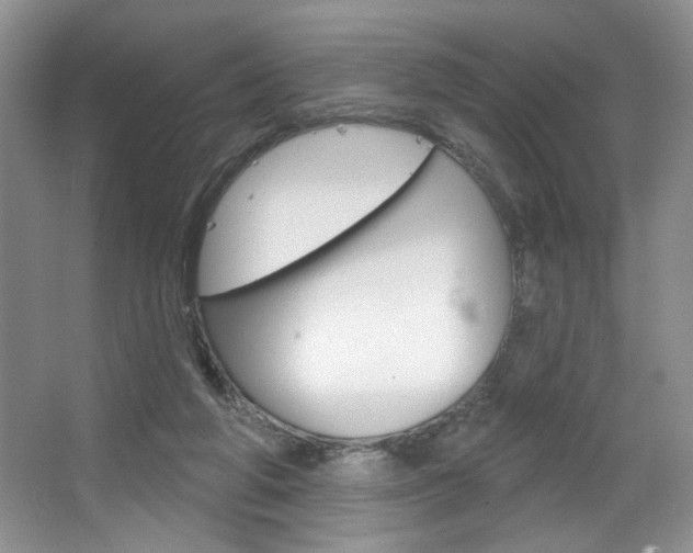 X0000067510210200604071057