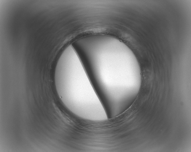X0000067510212200604071057