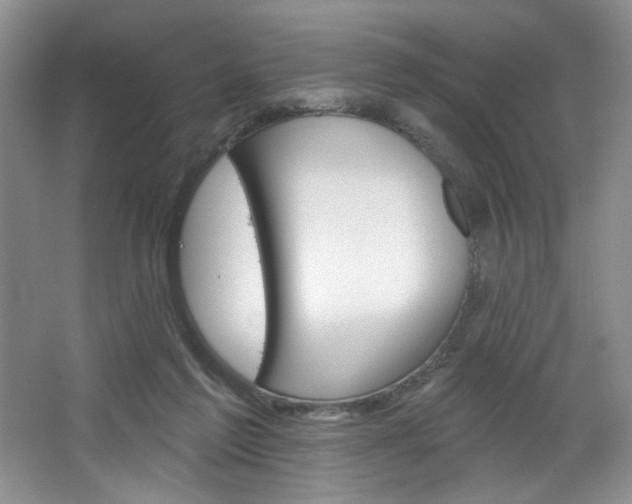 X0000067510213200604071057