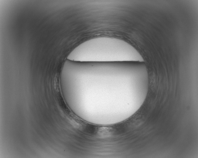X0000067510222200604071057