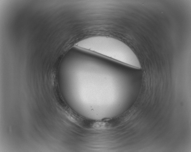 X0000067510227200604071057