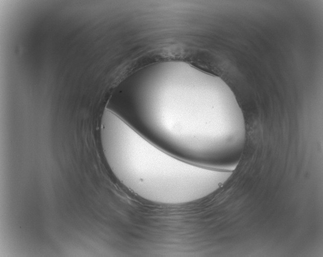 X0000067510233200604071057