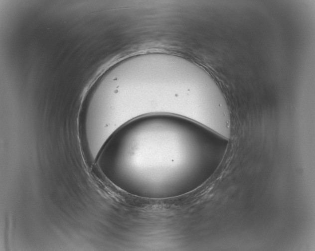 X0000067510244200604071056