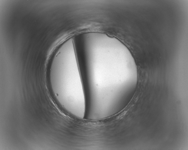 X0000067510245200604071056