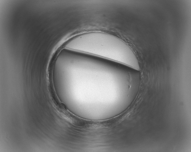 X0000067510246200604071056