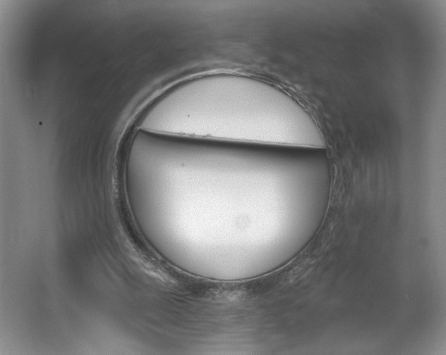 X0000067510247200604071056