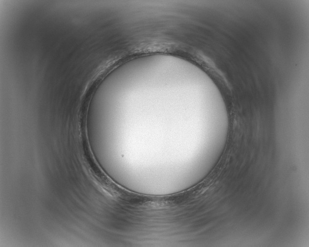 X0000067510250200604071056