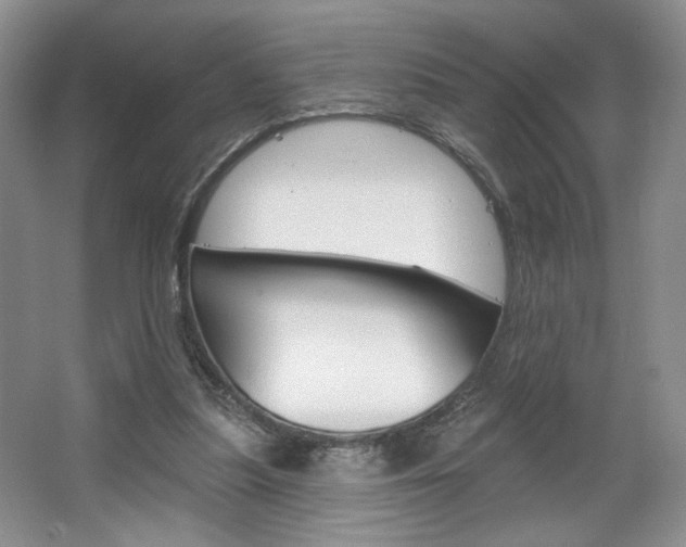 X0000067510251200604071056