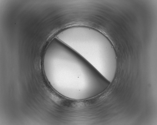 X0000067510253200604071056