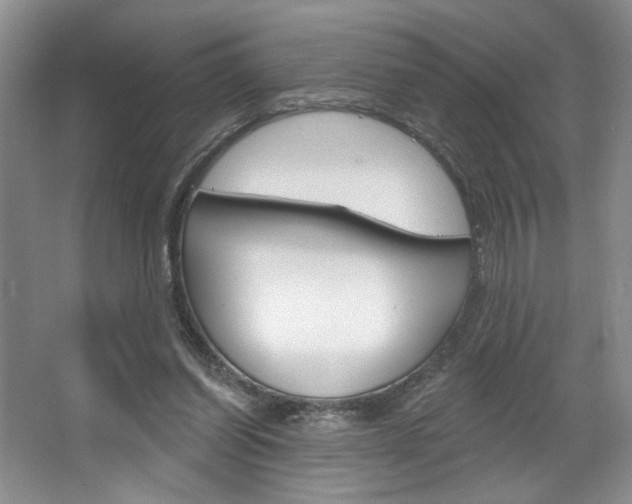 X0000067510254200604071056