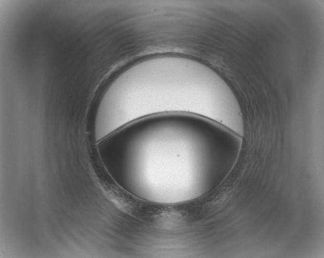 X0000067510256200604071056