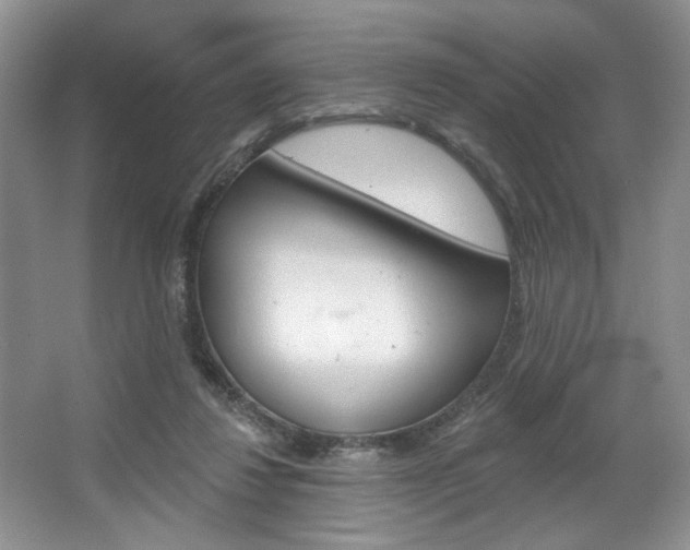 X0000067510260200604071056