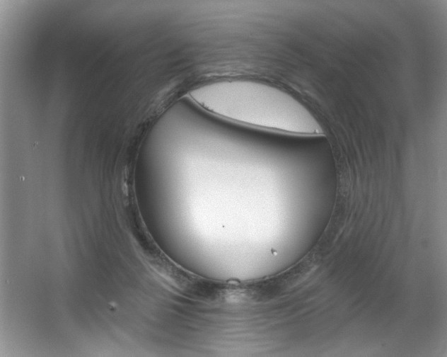 X0000067510264200604071056