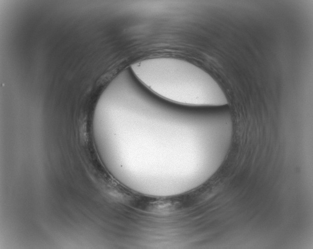 X0000067510267200604071056