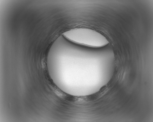 X0000067510285200604071057
