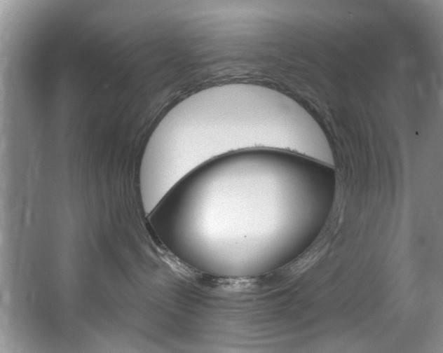 X0000067510288200604071057