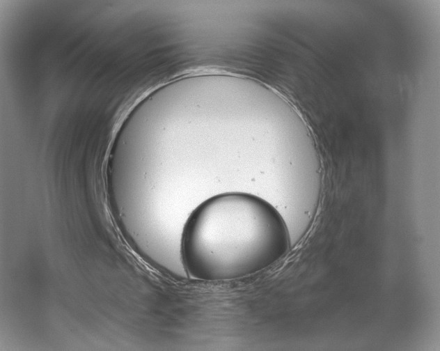 X0000067510289200604071056