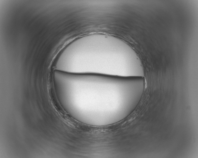 X0000067510291200604071056