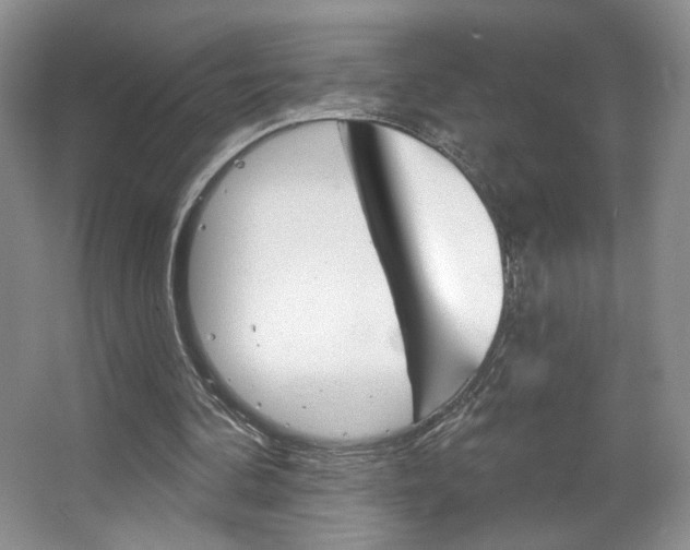 X0000067510292200604071056