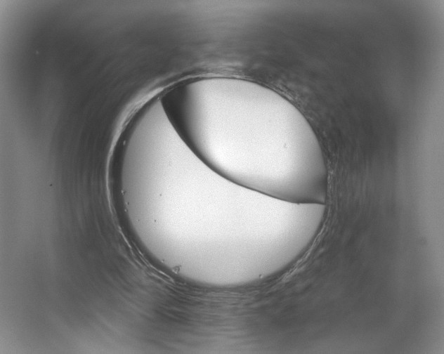 X0000067510294200604071056