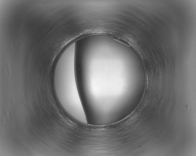 X0000067510301200604071056