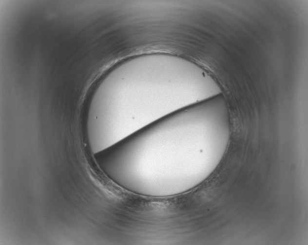 X0000067510302200604071056