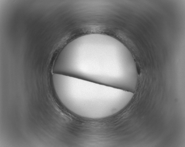 X0000067510306200604071056