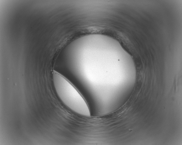 X0000067510317200604071055