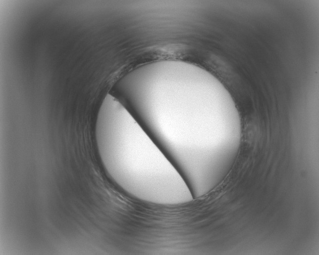 X0000067510318200604071055
