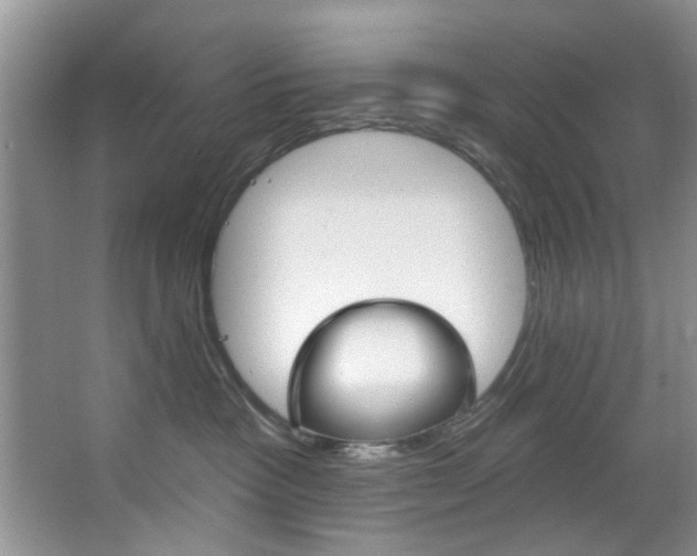X0000067510333200604071055