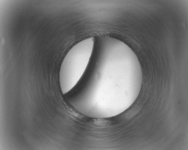 X0000067510336200604071055