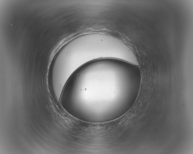 X0000067510340200604071054