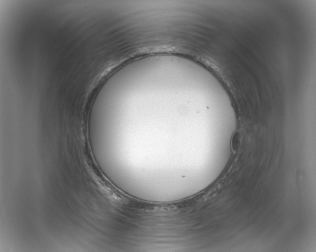 X0000067510345200604071054