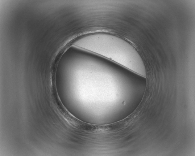 X0000067510350200604071054