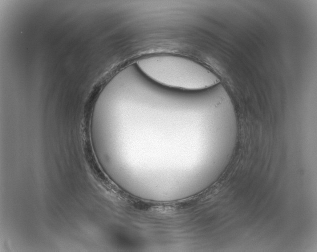 X0000067510354200604071055