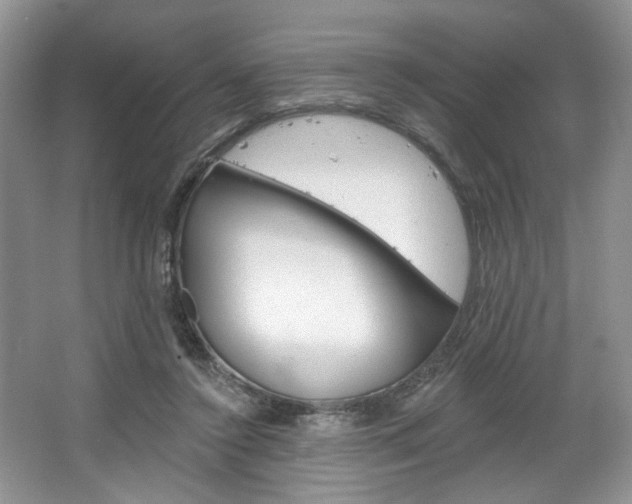X0000067510356200604071055