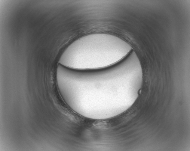 X0000067510362200604071055