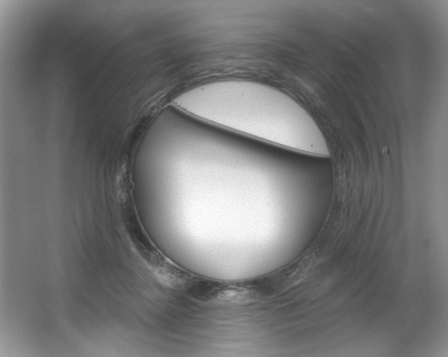 X0000067510364200604071055