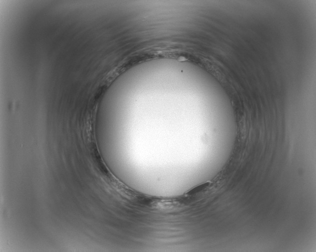 X0000067510372200604071055