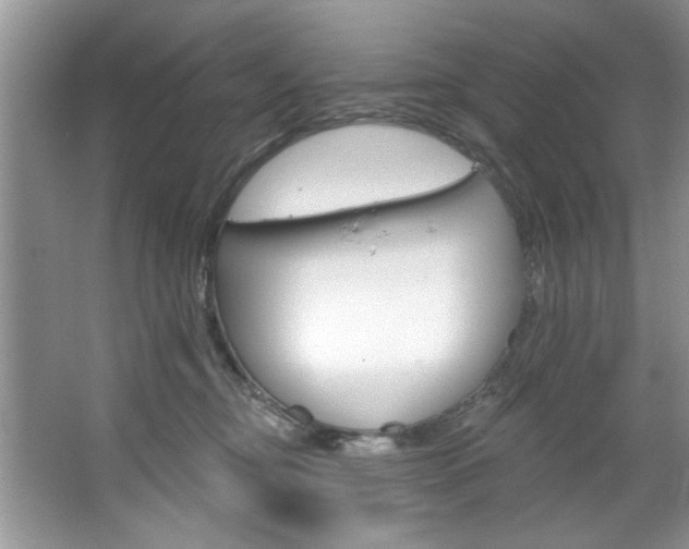 X0000067510374200604071055