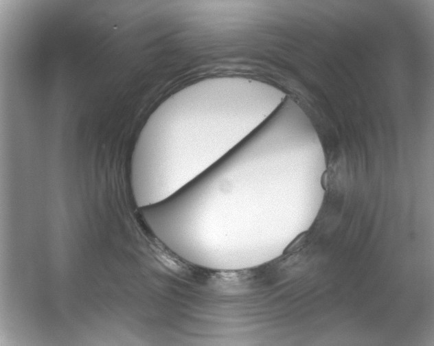 X0000067510381200604071055