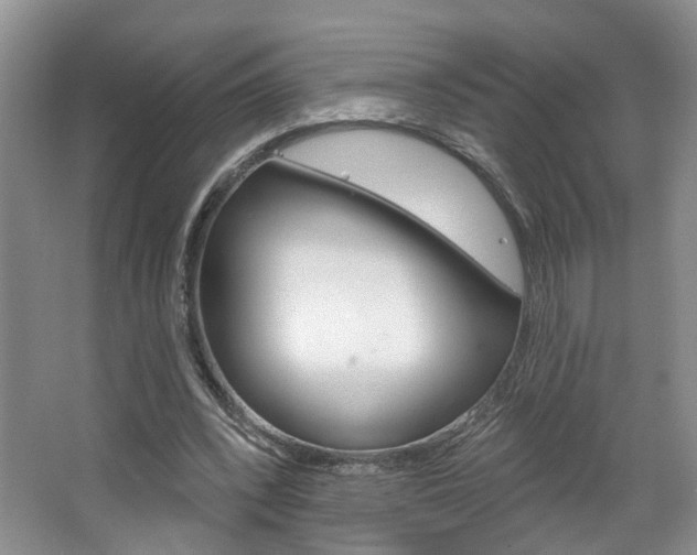 X0000067510392200604071054