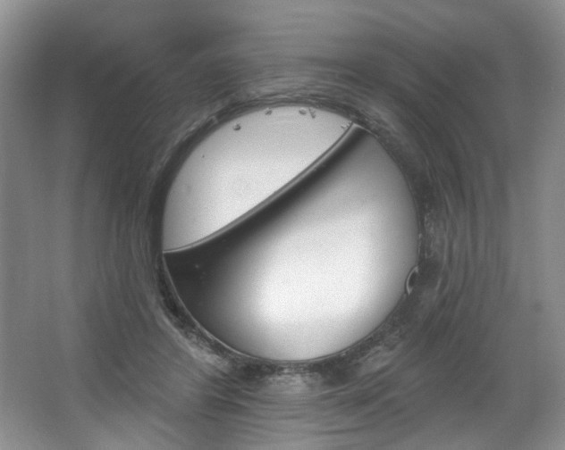 X0000067510404200604071054