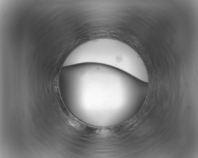 X0000067510419200604071054