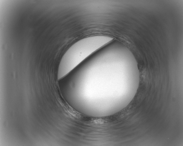 X0000067510423200604071054