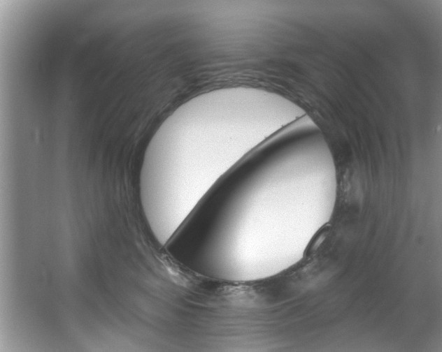 X0000067510424200604071054