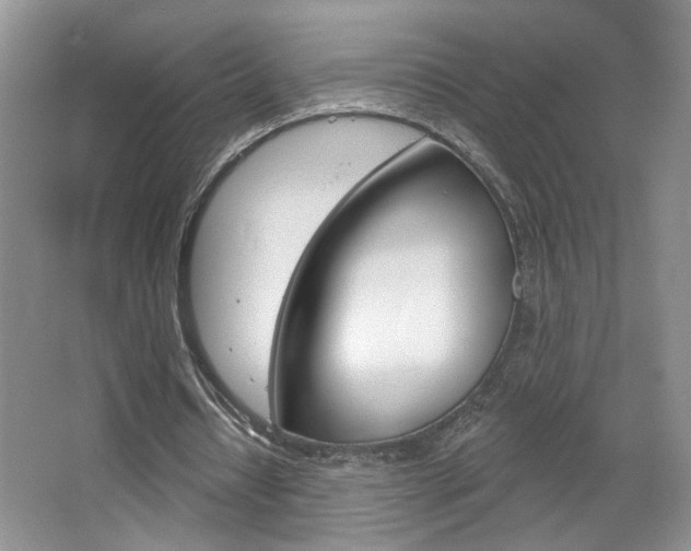 X0000067510434200604071053