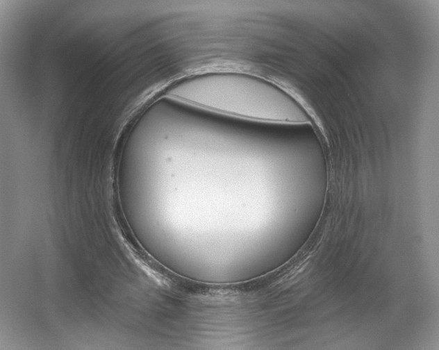 X0000067510437200604071053